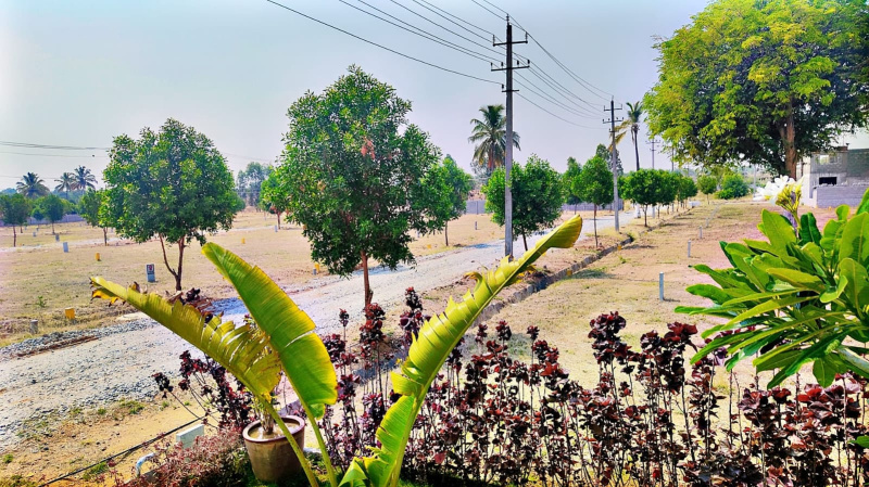  Residential Plot 900 Sq.ft. for Sale in Doddaballapur, Bangalore