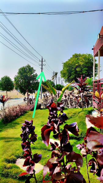  Residential Plot 900 Sq.ft. for Sale in Doddaballapur, Bangalore
