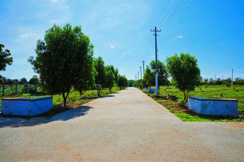  Residential Plot 900 Sq.ft. for Sale in Gauribidanur, Bangalore