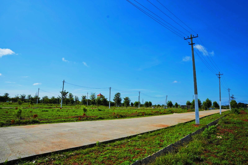  Residential Plot 900 Sq.ft. for Sale in Gauribidanur, Bangalore
