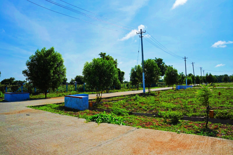  Residential Plot 900 Sq.ft. for Sale in Gauribidanur, Bangalore