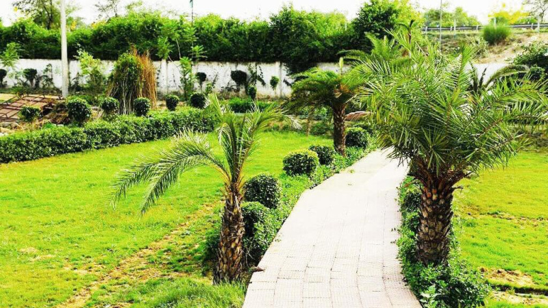  Residential Plot 100 Sq. Yards for Sale in Yamuna Expressway, Greater Noida