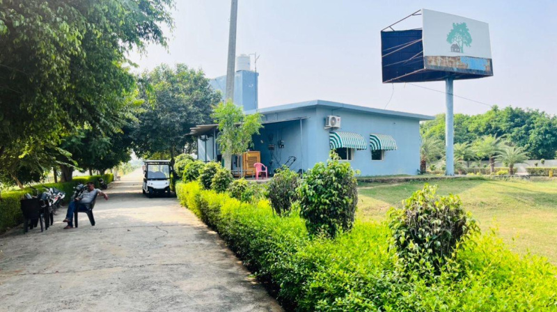  Residential Plot 100 Sq. Yards for Sale in Yamuna Expressway, Greater Noida