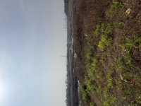  Agricultural Land for Sale in Wada, Thane