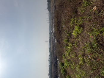 Agricultural Land for Sale in Wada, Thane