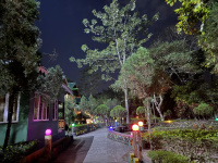  Hotels for Sale in Lataguri, Jalpaiguri