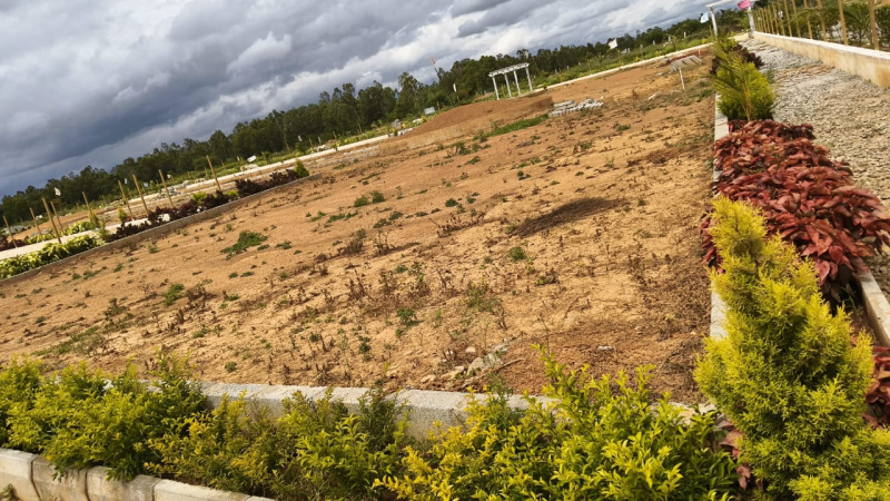  Residential Plot 1200 Sq.ft. for Sale in Hoskote, Bangalore