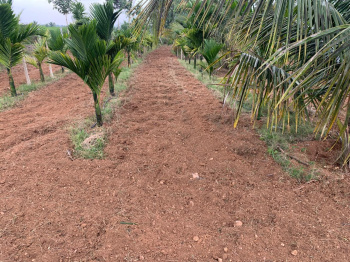  Agricultural Land for Sale in Bannur Road, Mysore