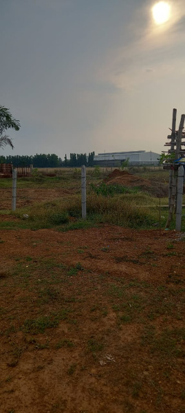  Residential Plot 1200 Sq.ft. for Sale in Pitapalli, Bhubaneswar
