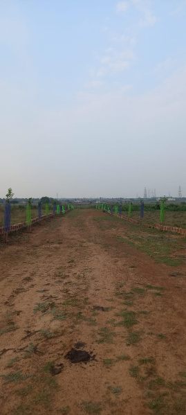  Residential Plot 1200 Sq.ft. for Sale in Pitapalli, Bhubaneswar