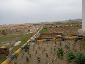  Residential Plot for Sale in Maniram, Gorakhpur
