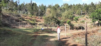  Agricultural Land for Sale in Poondi, Kodaikanal