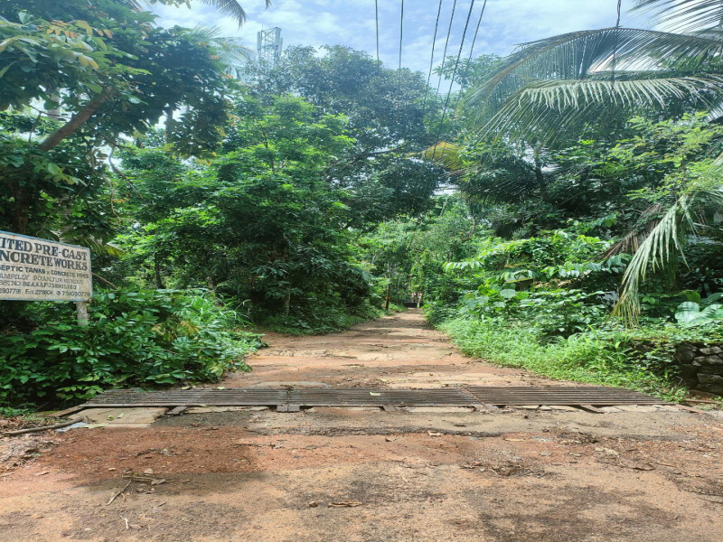  Agricultural Land 3 Acre for Sale in anjur Thrissur