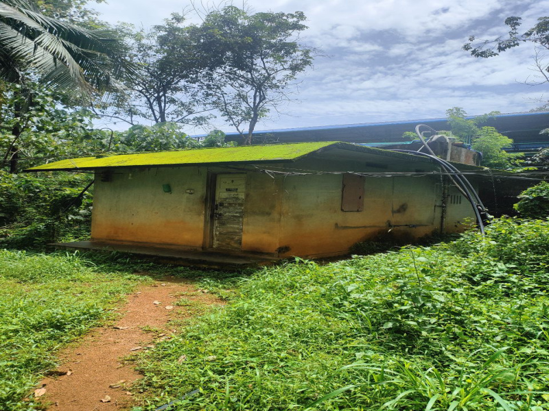  Agricultural Land 3 Acre for Sale in anjur Thrissur