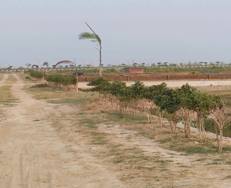  Residential Plot 1000 Sq.ft. for Sale in Sonauli Road, Gorakhpur