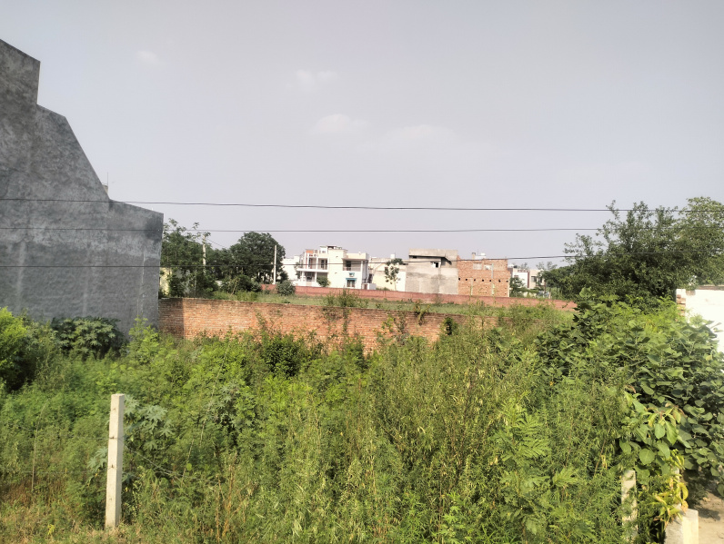  Residential Plot 12 Marla for Sale in Garhshankar, Hoshiarpur