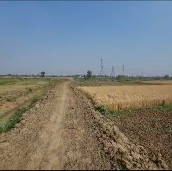 Punpun, Patna photo 4