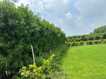 1 BHK Farm House for Sale in Sohna, Gurgaon