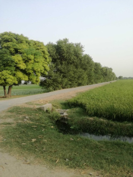  Agricultural Land for Sale in Naugaon, Alwar