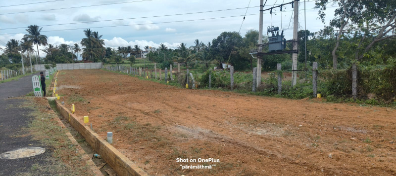  Residential Plot 800 Sq.ft. for Sale in Nelamangala, Bangalore