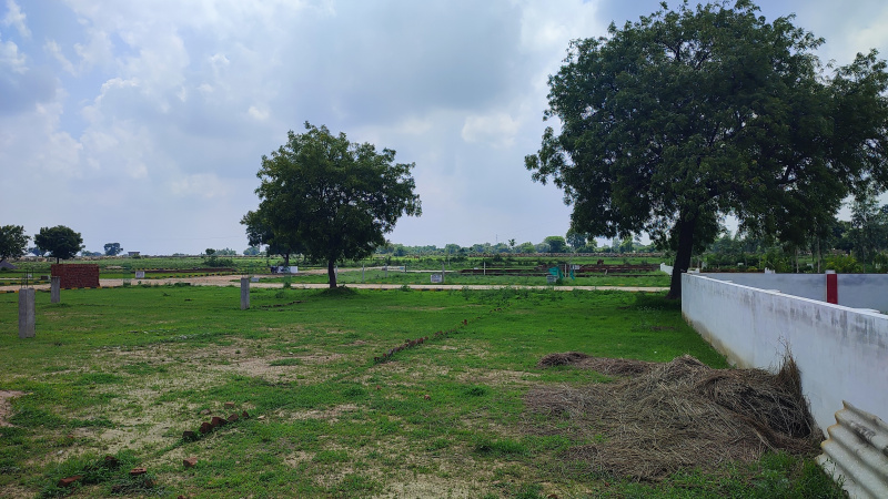  Residential Plot 900 Sq.ft. for Sale in Shankargarh, Allahabad