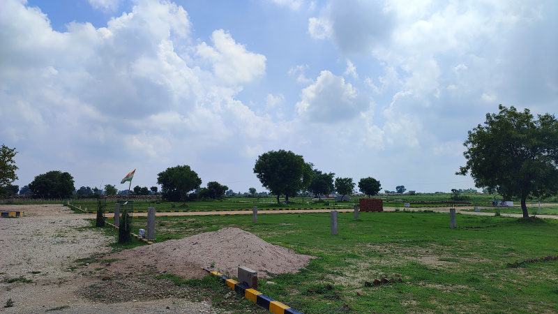  Residential Plot 900 Sq.ft. for Sale in Shankargarh, Allahabad