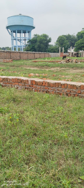  Residential Plot 1000 Sq.ft. for Sale in Jhusi, Allahabad
