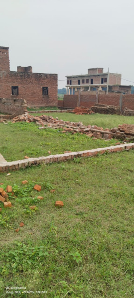  Residential Plot 1000 Sq.ft. for Sale in Jhusi, Allahabad