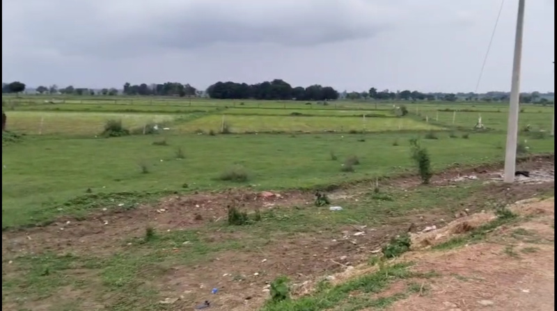  Commercial Land 24 Acre for Sale in Satna Road, Rewa