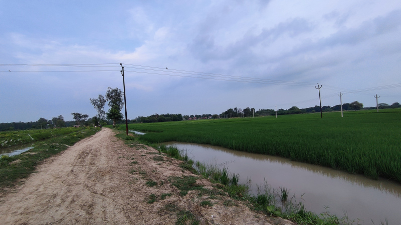  Residential Plot 40 Bigha for Sale in Gauhania, Allahabad