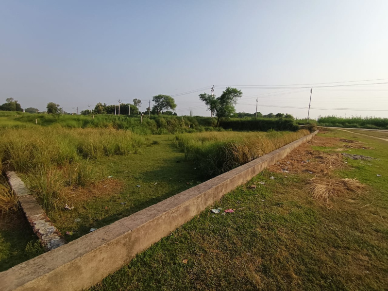  Commercial Land 751 Sq. Yards for Sale in Bhagwatpur, Allahabad