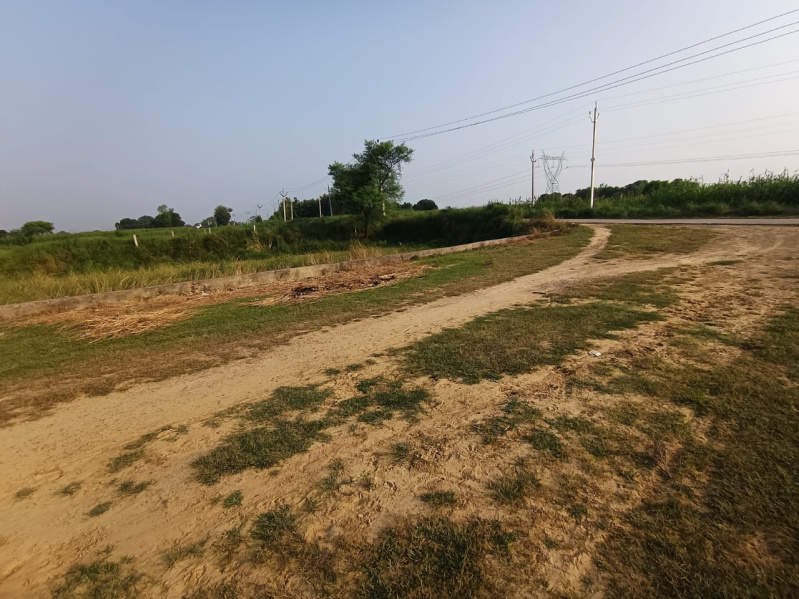  Commercial Land 751 Sq. Yards for Sale in Bhagwatpur, Allahabad
