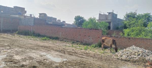  900 Sq.ft. Residential Plot for Sale in Jhusi Kohna, Allahabad