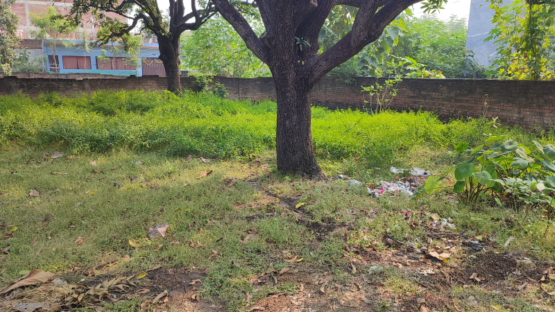  100 Sq. Yards Residential Plot for Sale in Jhusi, Allahabad