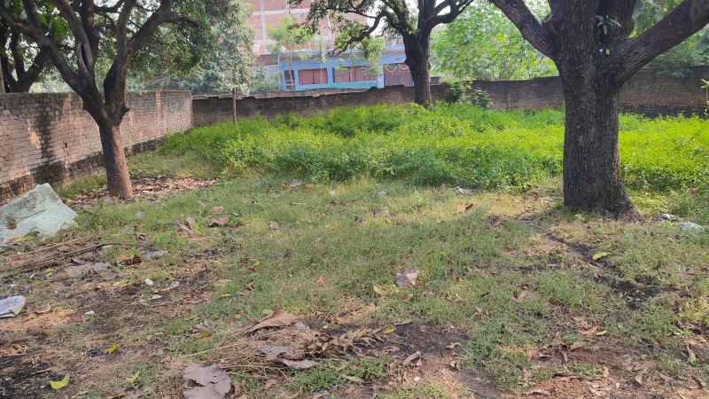  100 Sq. Yards Residential Plot for Sale in Jhusi, Allahabad