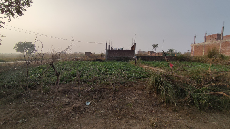  1800 Sq.ft. Residential Plot for Sale in Jhalwa, Allahabad