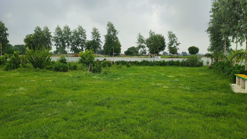  1800 Sq.ft. Residential Plot for Sale in Shankargarh, Allahabad