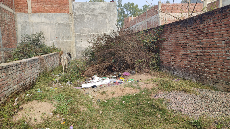  1000 Sq.ft. Residential Plot for Sale in Gangotri Nagar, Allahabad