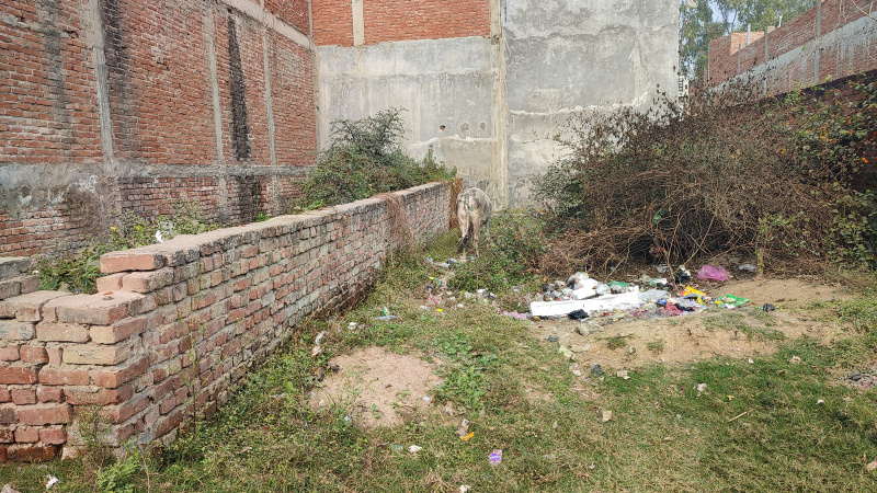  1000 Sq.ft. Residential Plot for Sale in Gangotri Nagar, Allahabad