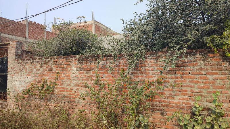  1250 Sq.ft. Residential Plot for Sale in Naini, Allahabad