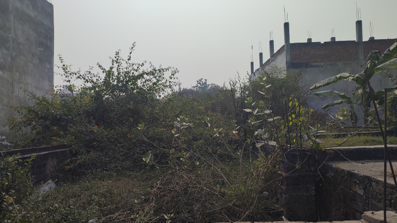  1250 Sq.ft. Residential Plot for Sale in Naini, Allahabad