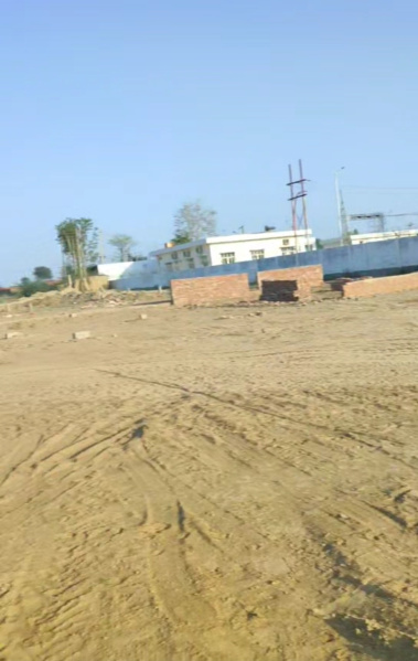  100 Sq. Yards Residential Plot for Sale in Jhusi, Allahabad