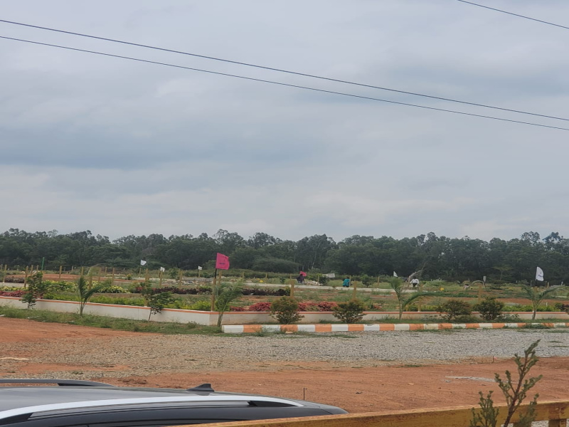  1200 Sq.ft. Commercial Land for Sale in Hoskote, Bangalore