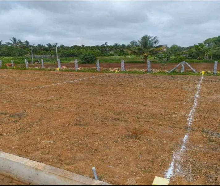  Residential Plot 1200 Sq.ft. for Sale in Nelamangala, Bangalore