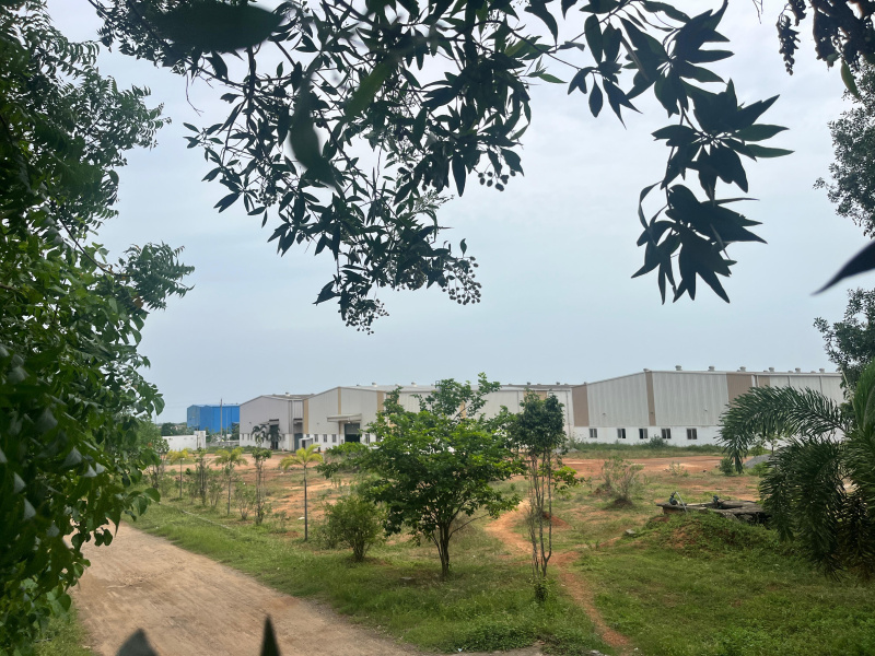  Warehouse 60000 Sq.ft. for Sale in Anakapalle, Visakhapatnam