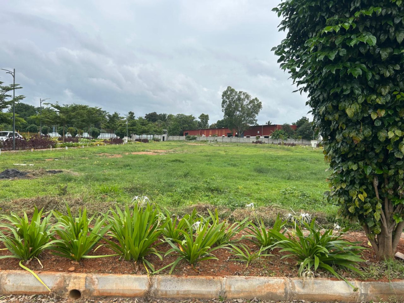  Residential Plot 1200 Sq.ft. for Sale in Kanakapura Road, Bangalore
