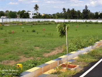 Residential Plot for Sale in Panjapur, Tiruchirappalli