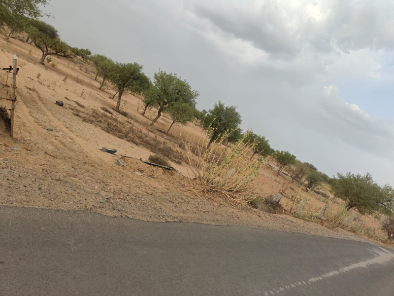  Residential Plot 97995 Sq.ft. for Sale in Mandawa, Jhunjhunu