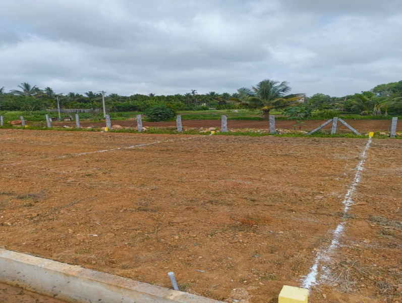  Residential Plot 600 Sq.ft. for Sale in Nelamangala, Bangalore