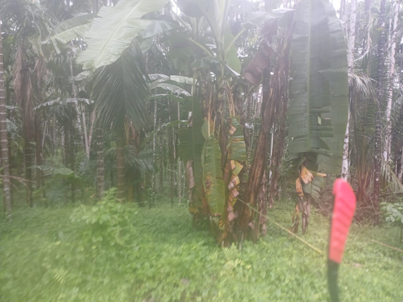  Residential Plot 9730 Sq. Meter for Sale in Pernem, Goa
